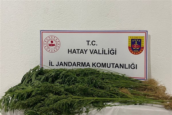 Hatay’da uyuşturucu ve kaçakçılık operasyonu 