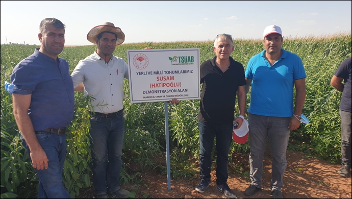 Hatipoğlu Susam çeşidinin üretim alanında tarla günü düzenlendi
