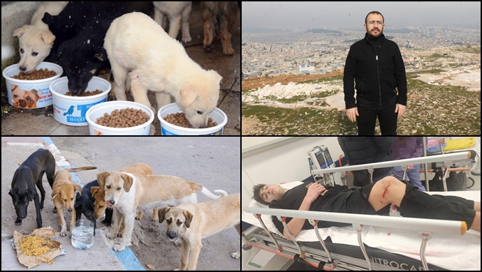 HÜDA PAR; Katil köpekler mi köpekleri kontrolsüzce besleyenler mi?