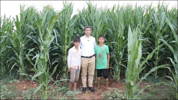 HÜDA PAR: Mısır Üreticileri Zararda