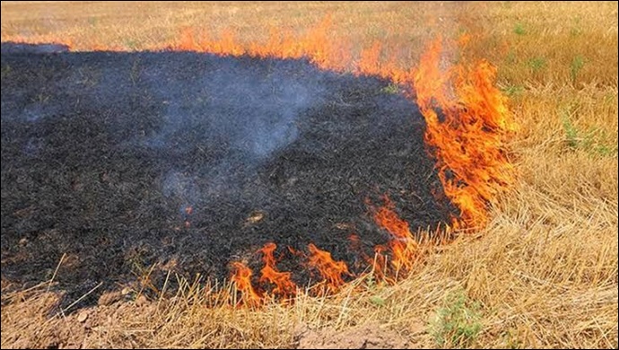 İl Tarım Müdürlüğü'nden ''ANIZ''Uyarısı !