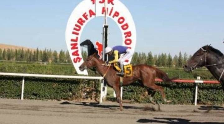 İlkbahar-yaz sezonu başlıyor: Urfa'da da yapılacak