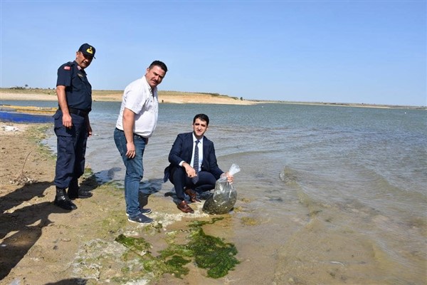 İpsala'da baraj ve göletler balıklandırılıyor