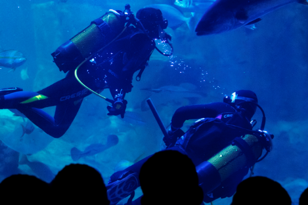 İstanbul Akvaryum'dan sömestira özel öğretici etkinlikler