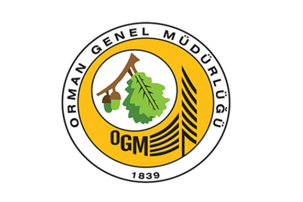 İstanbul Beykoz'daki orman yangını kontrol altına alındı