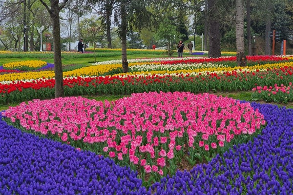 İstanbul Lale Bayramı coşkuyla kutlanacak