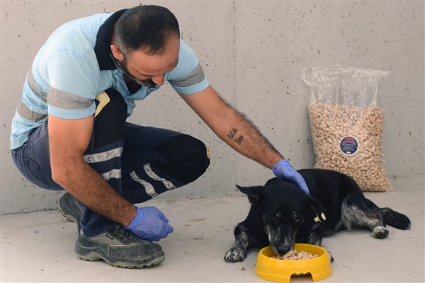 İzmir’de koruma altındaki hayvanlar için besin değeri yüksek mama üretiliyor