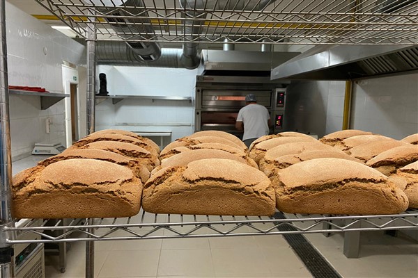 Karakılçık hem üreticinin, hem tüketicinin yüzünü güldürdü