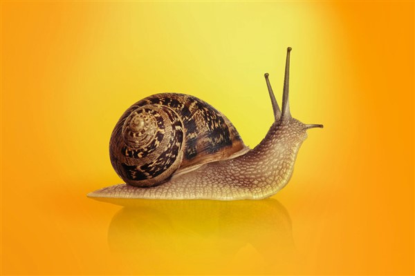 Kaspersky, Windows işletim sistemi için yeni bir sıfır gün açığı buldu