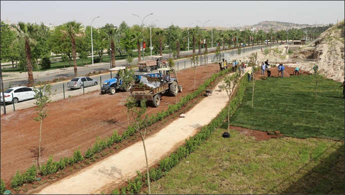 Kızılkoyun Nekropol alanda yeni yeşil alan-(VİDEO)