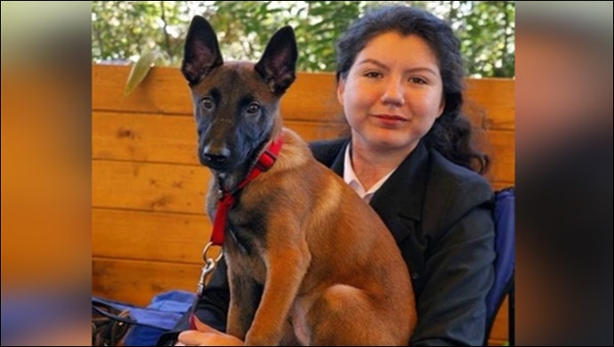 Köpek eğitimi neden önemli ?