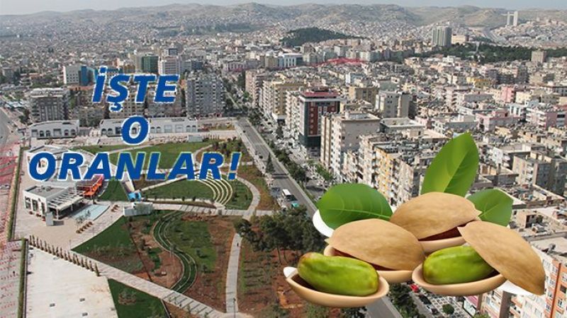 Liste açıklandı! Şanlıurfa ilk sırada yer aldı