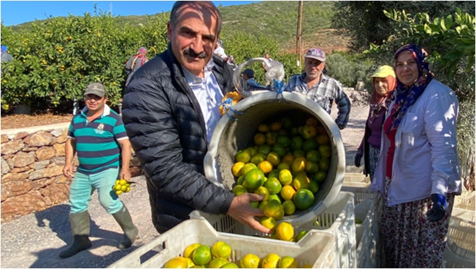 Mandalina ihracatında hedef 500 milyon dolar