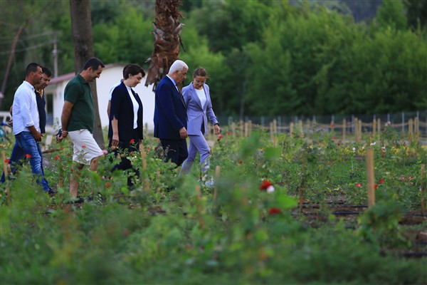 Marmaris Çamlı'da kırsal kalkınmanın desteklenmesi için 84 çeşit bitki dikildi