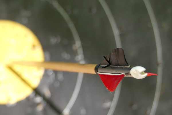 Milli okçu Elif Berra Gökkır, Paris 2024 Olimpiyat Oyunları kotası kazandı