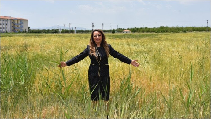 MTÜ’den Tahıl Üretimine Destek