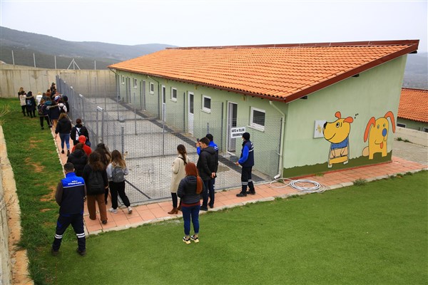 Muğla Büyükşehir, Geçici Hayvan Bakımevi can dostlar için çalışıyor 
