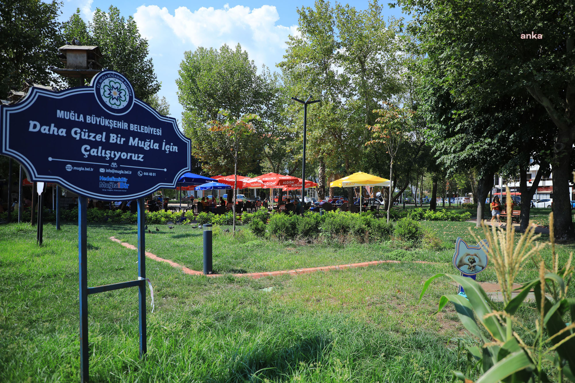 Muğla'da yeşil alanlar arıtılmış su ile sulanıyor