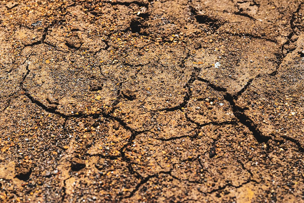 Naci Görür’den Düzce depremi açıklaması