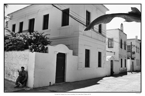 Nef, Sıtkı Kösemen ‘Dönüşümler’ sergisini 16. Contemporary İstanbul’da sunuyor