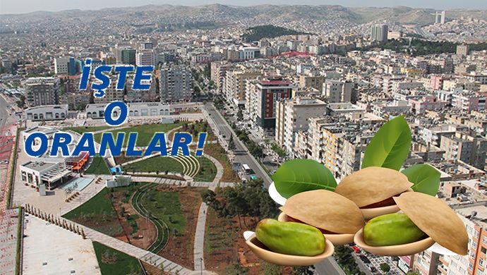 O liste açıklandı! Şanlıurfa 31 bin ton üretti