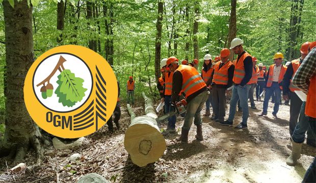 Orman Genel Müdürlüğü eleman alacak: Alınacak iller arasında Urfa'da var