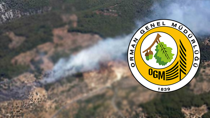 Orman Genel Müdürlüğü açıkladı: Urfa’da da çıkmıştı!