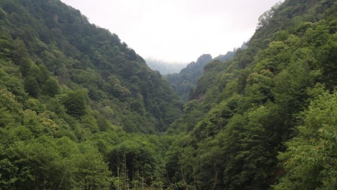 Ormanlara girişler yasaklandı