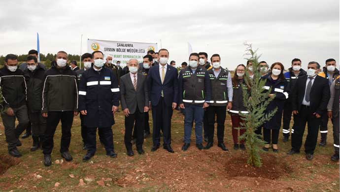 Osmanbey’de Bir Orman Oluşturuluyor-(VİDEO)