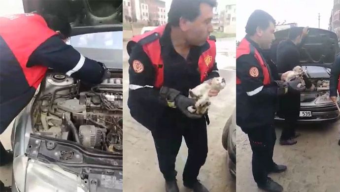 Otomobilde sıkışan kediyi Urfa itfaiyesi kurtardı
