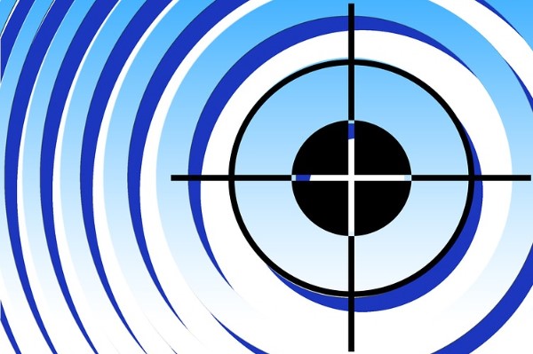 Papilon'dan SPK başvurusu