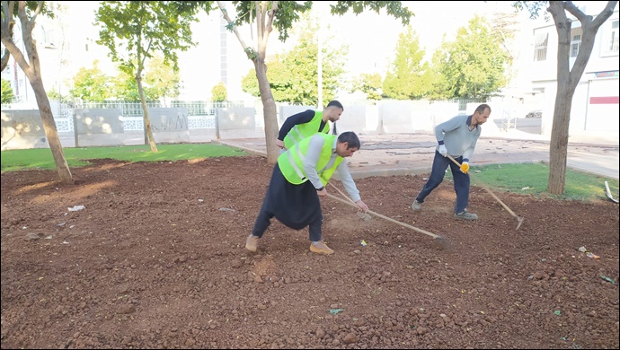 Parklarda çimlendirme çalışmaları devam ediyor