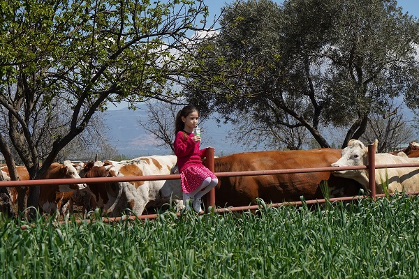 Pınar Süt, 2021’de yüzde 32,2 büyüyerek 2,7 milyar TL ciroya ulaştı