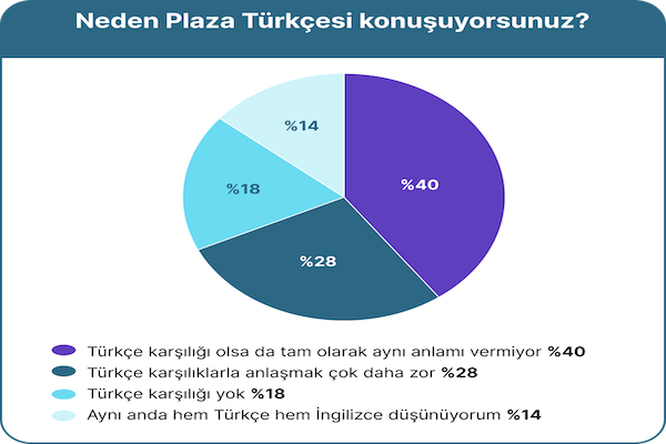 Preply’den kapsamlı Plaza Türkçesi Araştırması