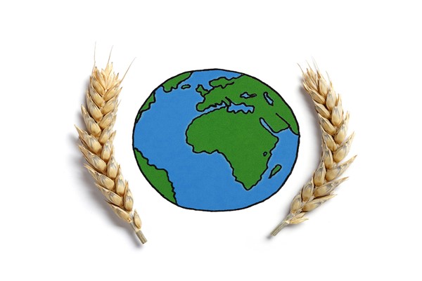 Qu Dongyu, yeniden FAO Genel Direktörü seçildi