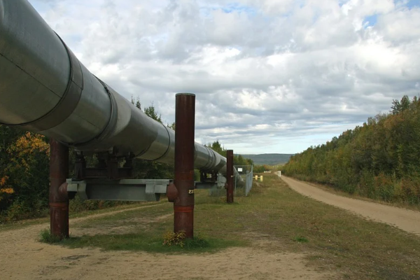 Rusya'nın Avrupa'ya doğal gaz arzını artıracağına yönelik açıklama
