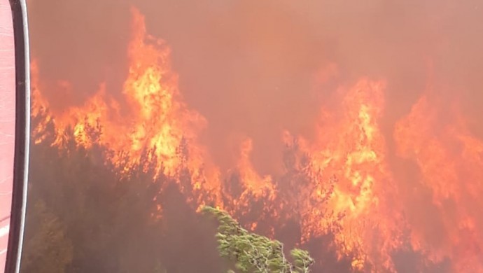 Samandağ'da orman yangını