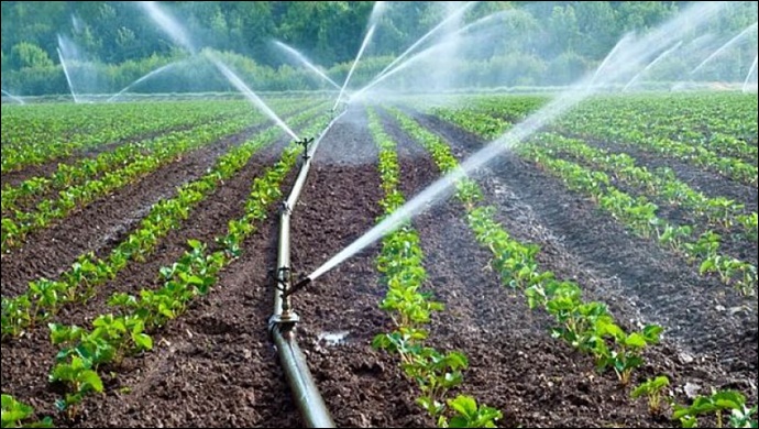 Şanlıurfa çiftçiler mağdur: 76 milyon gelecekti 31 milyon geldi!