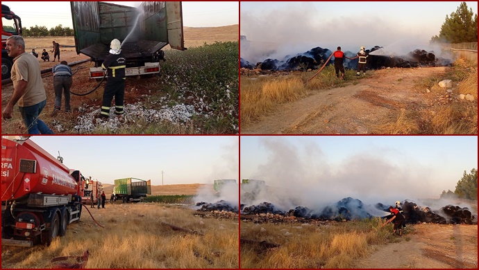 Şanlıurfa 'da Seyir halindeki traktör römorkunda yangın çıktı: Tonlarca pamuk kül oldu