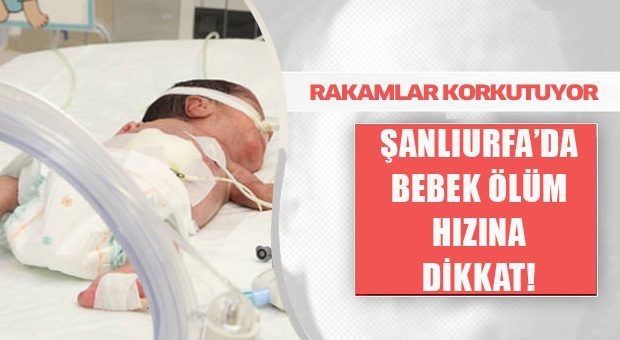 Şanlıurfa İkinci Sırada yer aldı