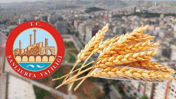 Şanlıurfa Valiliği’nden önemli buğday pazarı kararları!