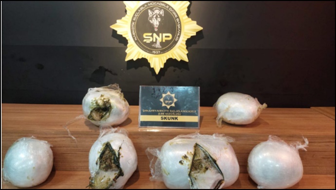 Şanlıurfa'da 14 kilogram skunk ele geçirildi: 2 gözaltı