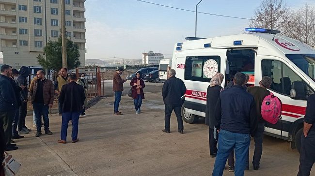 Şanlıurfa'da başıboş köpekler 3 öğrenciyi yaraladı