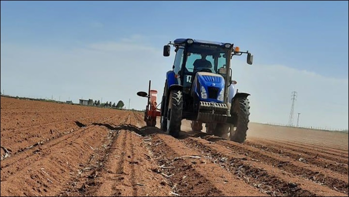 Şanlıurfa’da beyaz altın mesaisi: Ekimine başlandı