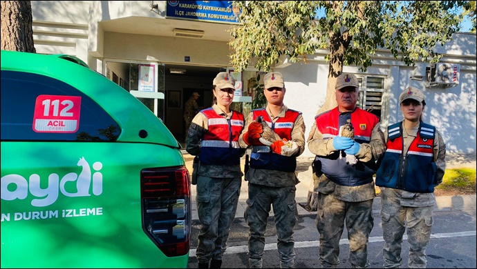 Şanlıurfa'da durdurulan araçta yabani kuşlar ele geçirildi