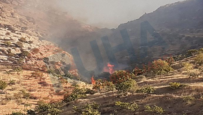 Şanlıurfa'da fıstık tarlasında yangın çıktı!