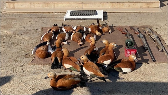 Şanlıurfa'da Kaçak avcılara ceza yağdı