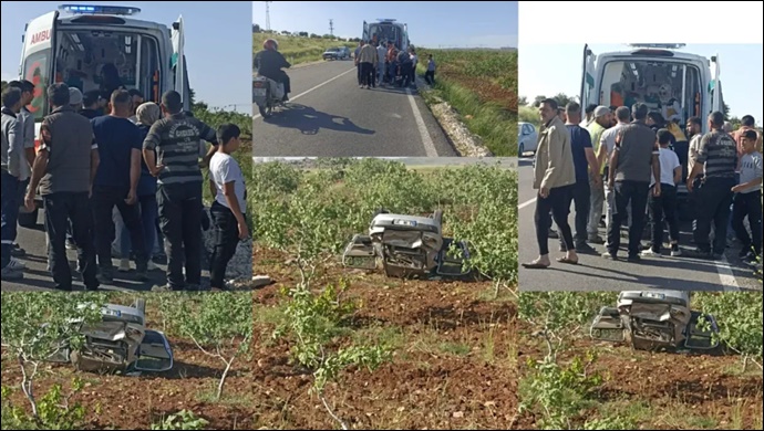 Şanlıurfa'da Otomobil Fıstık Bahçesine Uçtu: Sürücü Yaralandı