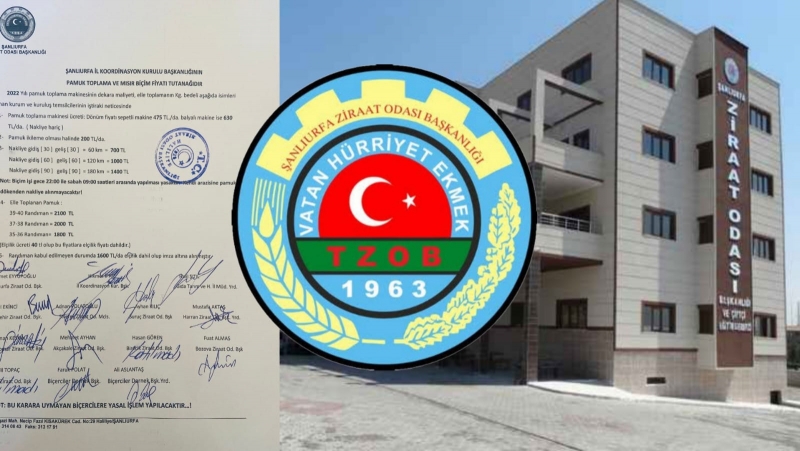 Şanlıurfa’da pamuk biçim ücretleri açıklandı