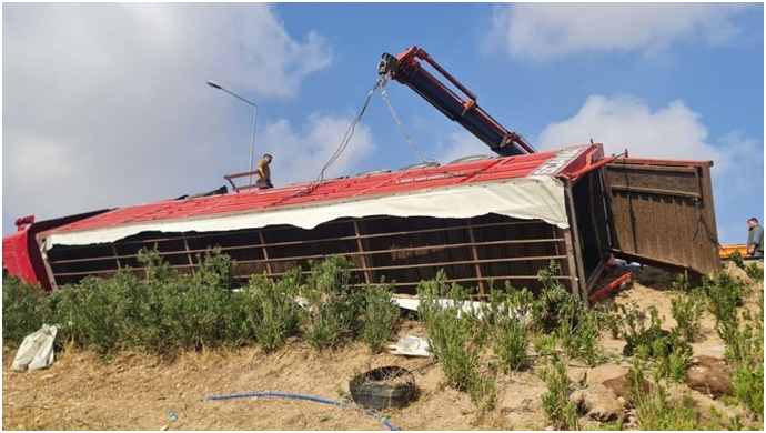 Şanlıurfa'da tır devrildi: Onlarca küçükbaş hayvan telef oldu